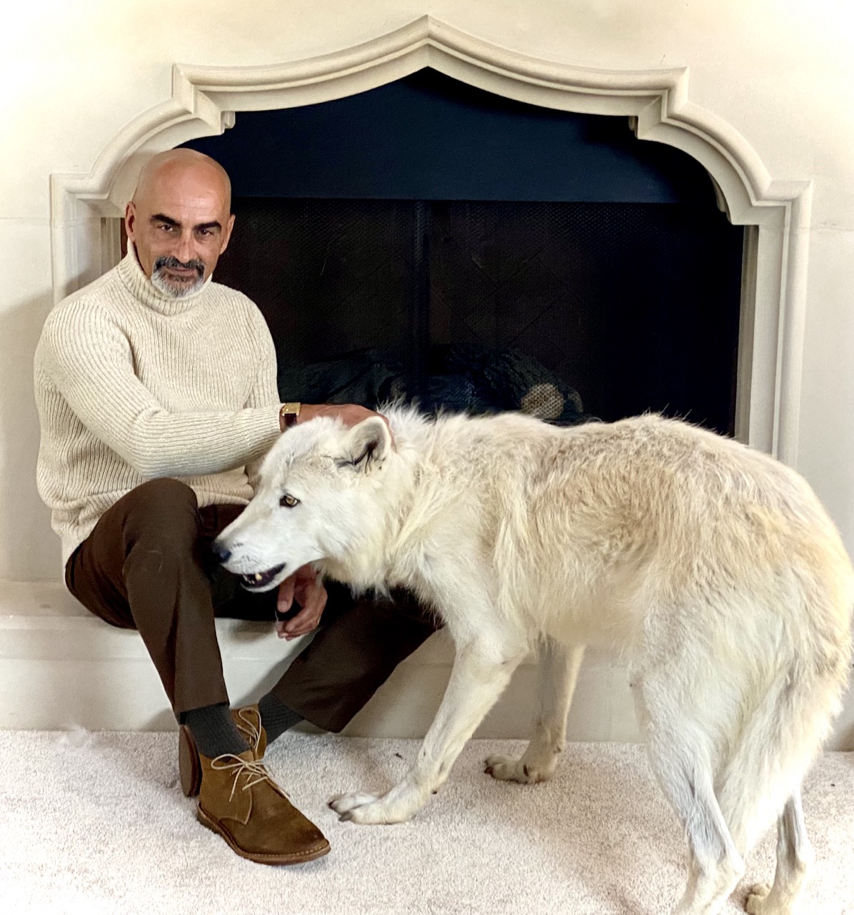 The Cleaning Lady Wolf